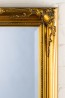 Full Length Tudor Ornate Mirror in Gold